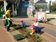 花植え