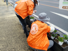 花植え