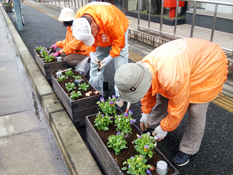 花植え