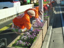 除草＆花がら摘み