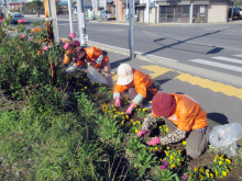 除草＆花がら摘み