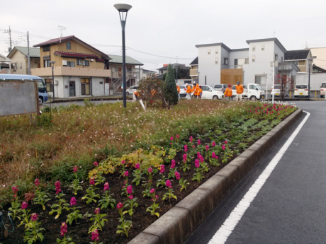 除草＆花がら摘み