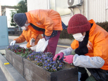 除草&花がら摘み