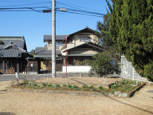 除草&花がら摘み