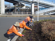 除草&花がら摘み