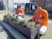 除草&花がら摘み