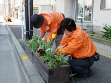 除草&花がら摘み