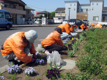 除草&花がら摘み