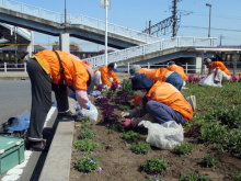 除草&花がら摘み