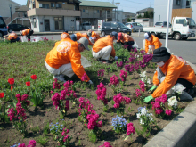 除草&花がら摘み