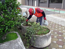 除草＆花がら摘み