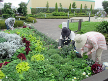 除草＆花がら摘み