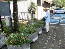 除草＆花がら摘み