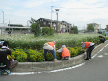 除草＆花がら摘み