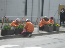 駅通り除草