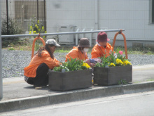 駅通り除草