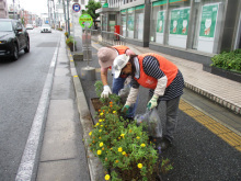 市民ガーデニングボランティア活動