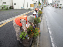 市民ガーデニングボランティア活動