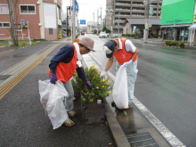 市民ガーデニングボランティア活動