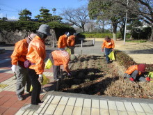 城址公園花がら摘み