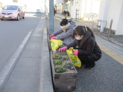 駅通り花がら摘み