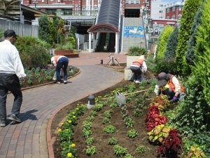 ステイションガーデン除草