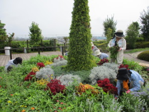 天空の散歩道除草