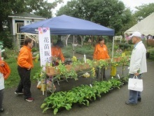 花仲間花苗販売