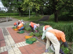 城址公園整地