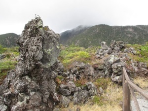 視察研修