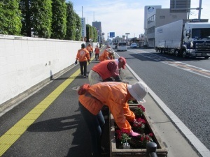 国道17号プランター植栽