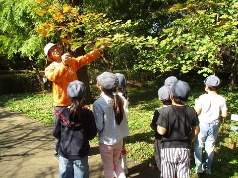 上柴東小学校環境学習