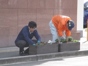 駅通りプランター植栽