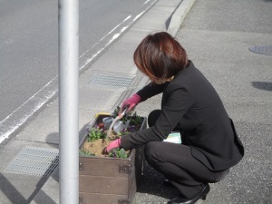 駅通りプランター植栽