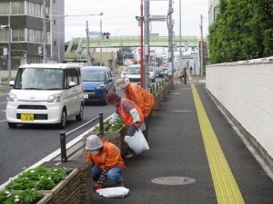 国道17号プランター除草