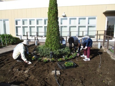 天空の散歩道植栽