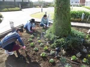 天空の散歩道植栽