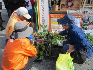 産業祭出店
