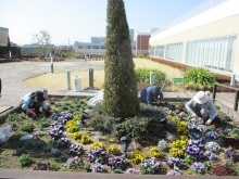 天空の散歩道除草活動