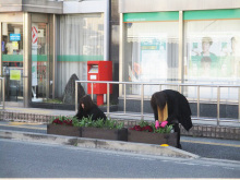 駅通りボランティア活動