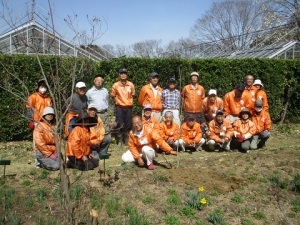 スモークツリー植樹