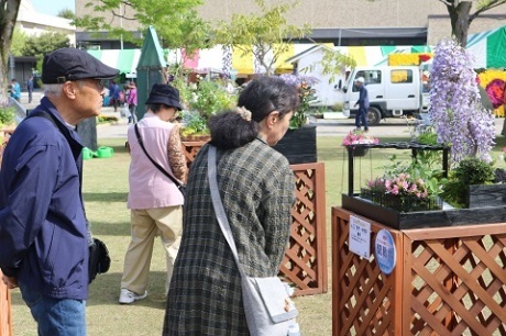 花フェスタ会場