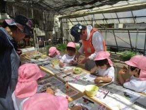 常盤幼稚園環境学習