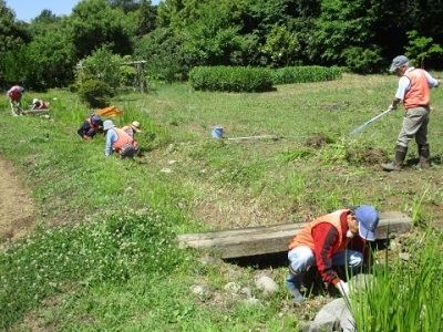 小川の除草