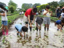 田植え体験