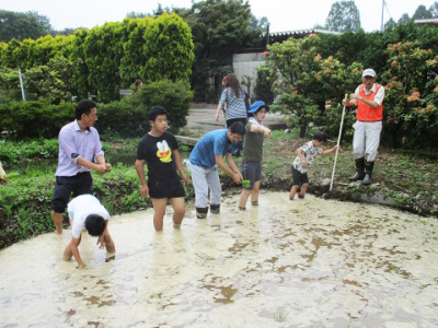 田植え体験