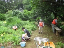 山野草ガーデン除草