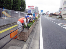 国道17号活動