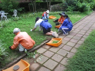 ヒーリングガーデン除草