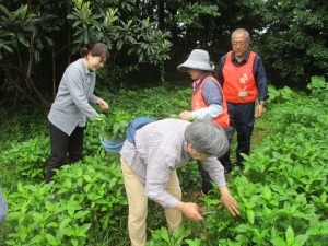 藍染めの実験